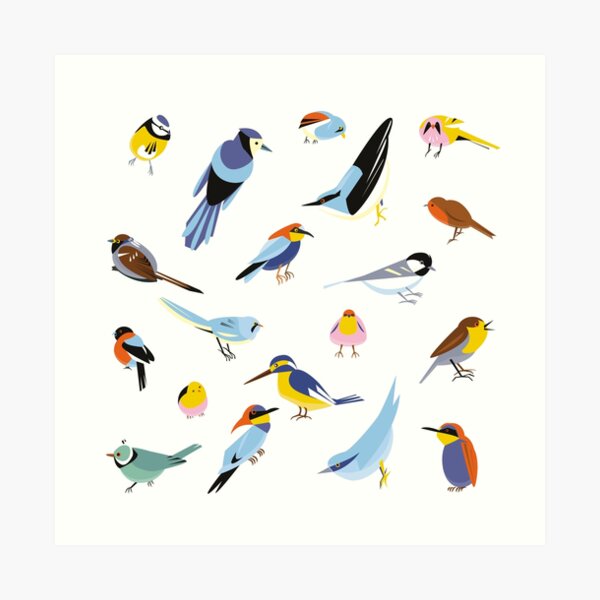 Birds lover Art Print