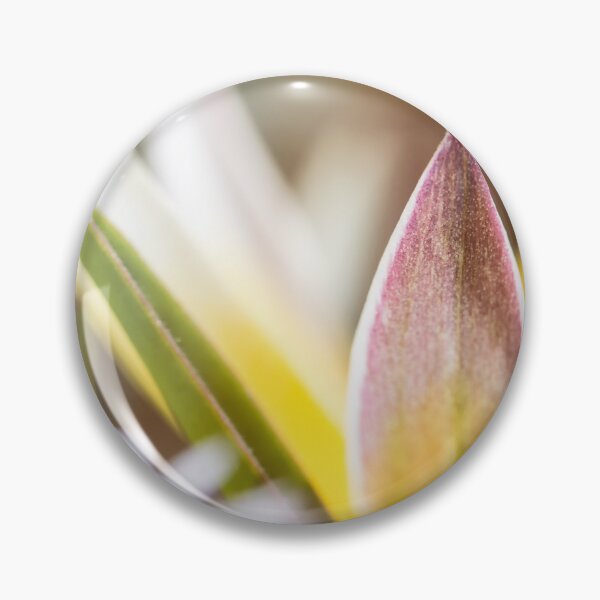 Item preview, Beautiful flower macro of miniature diminutive yellow Tulip Tulipa Tarda designed and sold by Grégory DUBUS.