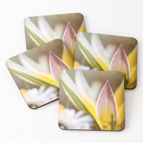 Item preview, Beautiful flower macro of miniature diminutive yellow Tulip Tulipa Tarda designed and sold by Grégory DUBUS.