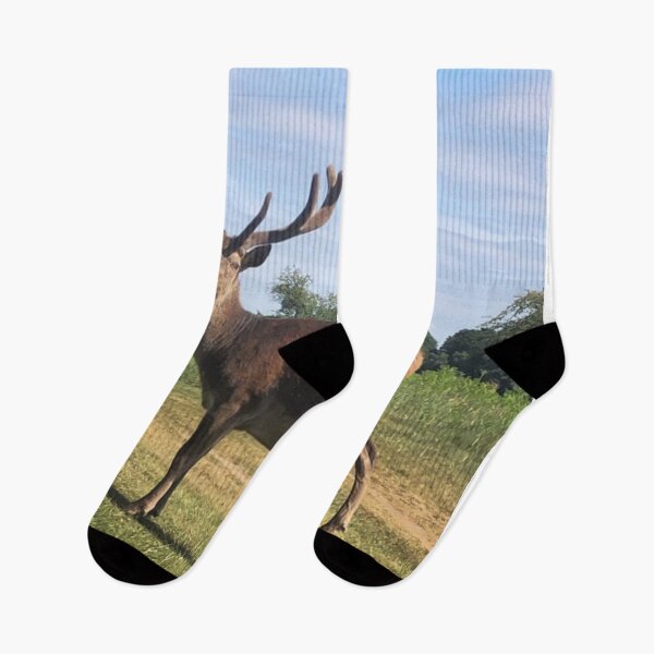 Item preview, Stag  designed and sold by Sarah Cockle.