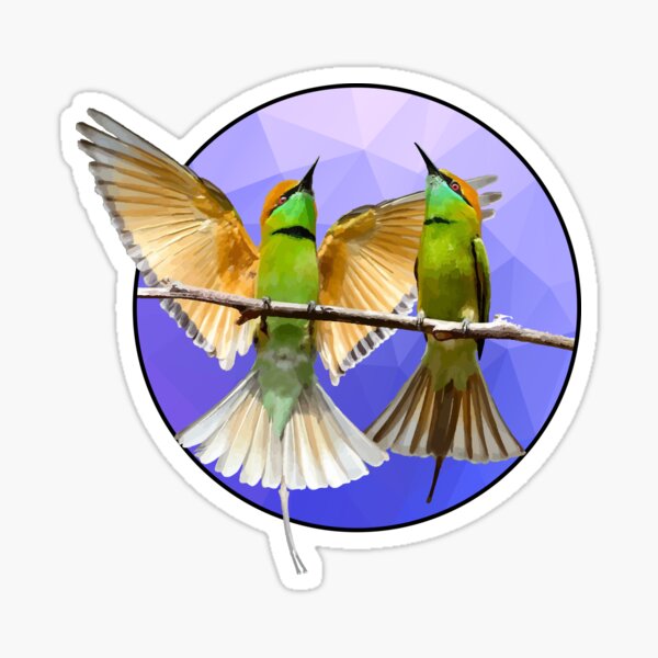 Item preview, Colorful birds on a branch - Small bird in tree - Bird Images, Bird artwork designed and sold by LookFrog.