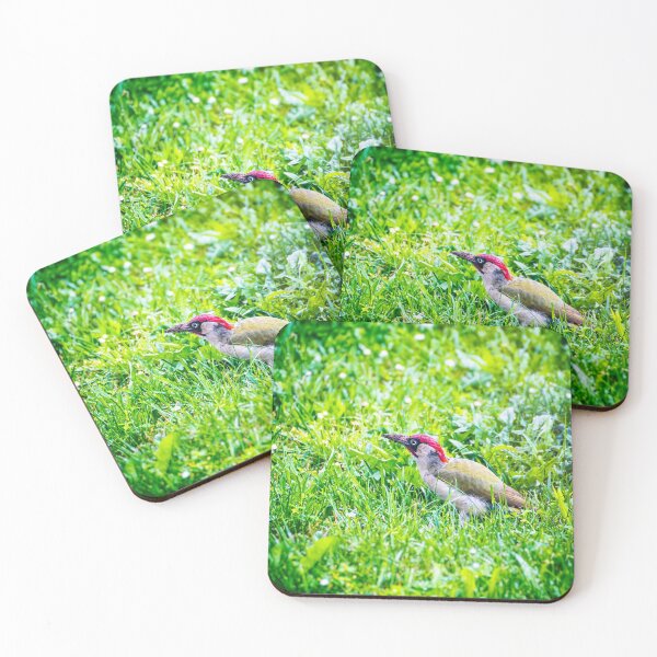 Item preview, Woodpecker beautiful bird looking for insects in fresh green grass designed and sold by Grégory DUBUS.