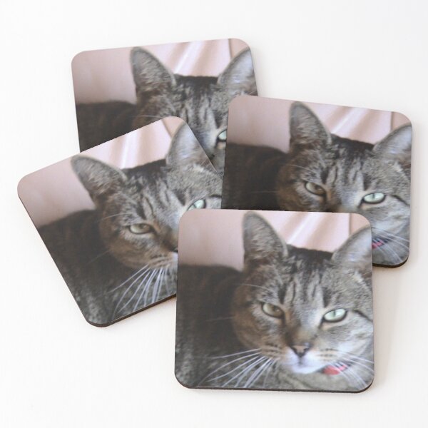 Item preview, Tabby Cat designed and sold by tatty58.