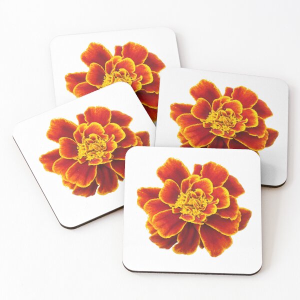 Item preview, Marigold and Cosmos flower designed and sold by PewPaw.