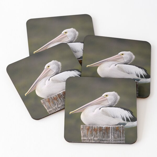 Item preview, Emu Point _Pelican #01 designed and sold by Malcolm Heberle.