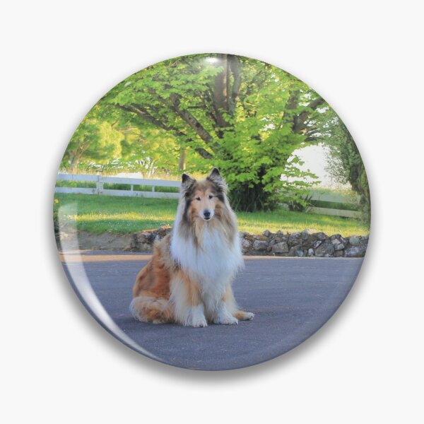 Item preview, Sitting Rough Collie designed and sold by KarenWoodArt.