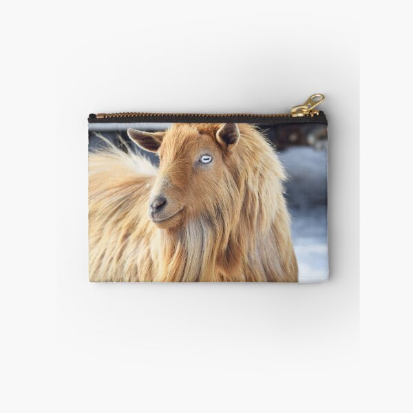 Item preview, Majestic Long Haired Male Pygmy Goat With Beautiful Eyes designed and sold by crazycow75.