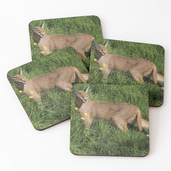 Item preview, Caracal designed and sold by aquabella.