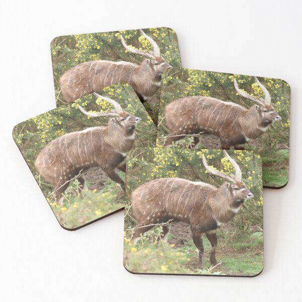 Item preview, Sitatunga designed and sold by aquabella.