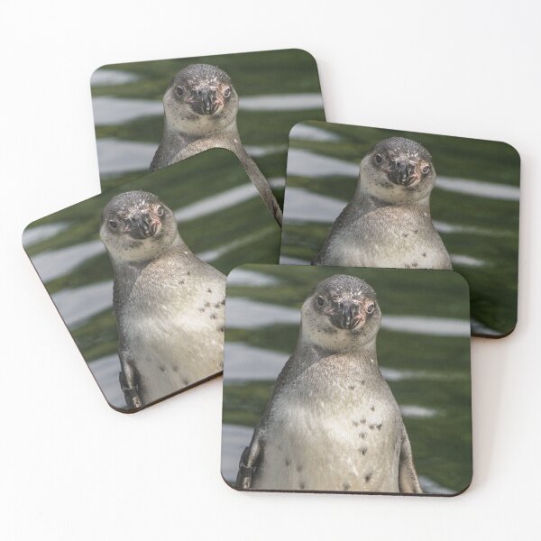 Item preview, Young humbolt penguin  designed and sold by KcsArt87.