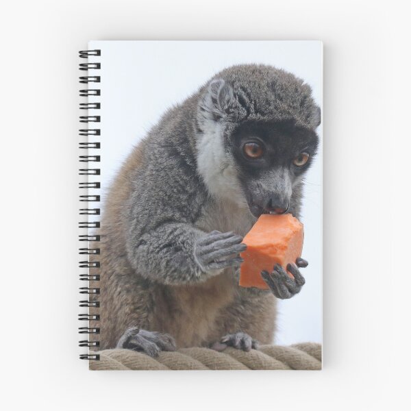 Item preview, Mongoose Lemur designed and sold by aquabella.