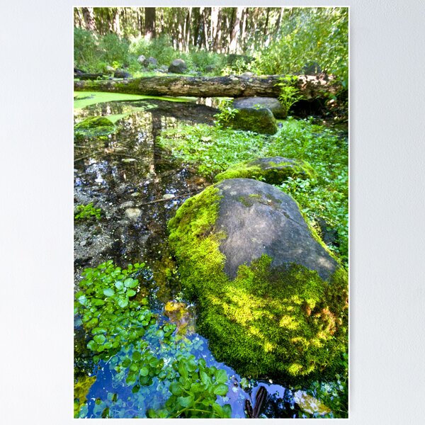 Item preview, The Moss of Silver Springs designed and sold by Adam Bykowski.
