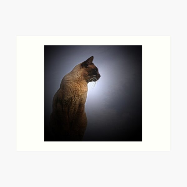 Max Art Print