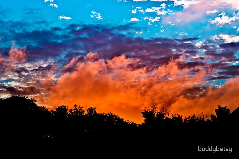 red-sky-s-at-night-shepherds-delight-posters-by-buddybetsy-redbubble