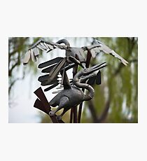 Untitled Birds Photographic Print