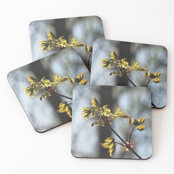Item preview, Sunny spring designed and sold by carolmaia.
