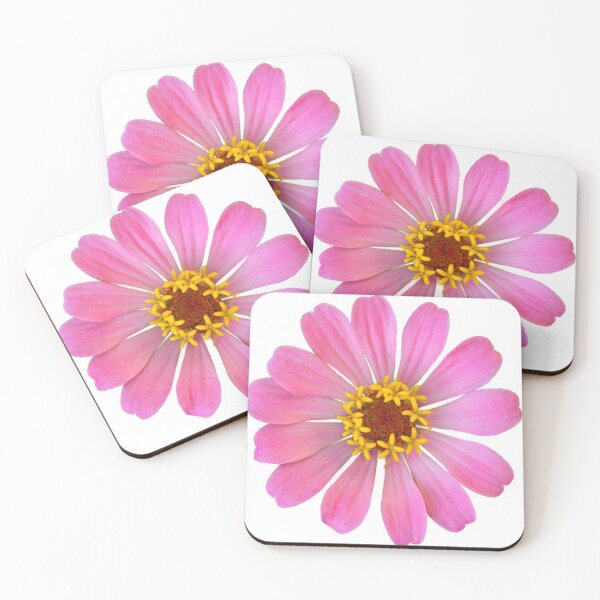 Item preview, Primer plano de una flor de zinnia rosa designed and sold by 104paul.