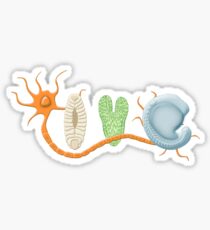 Biolo-gee Sticker