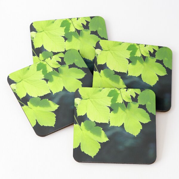 Item preview, Leaves in nature  designed and sold by Hulya Yucel Designs.