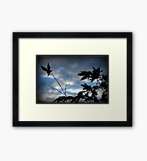Evening Silouettes Framed Print