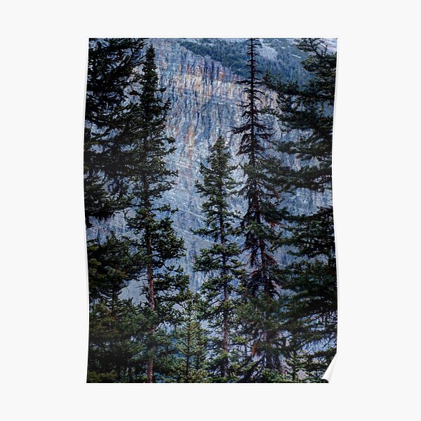 Pines at Lake Lousie, Banff, Alberta Canada Poster