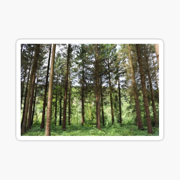 From the Glade Sticker