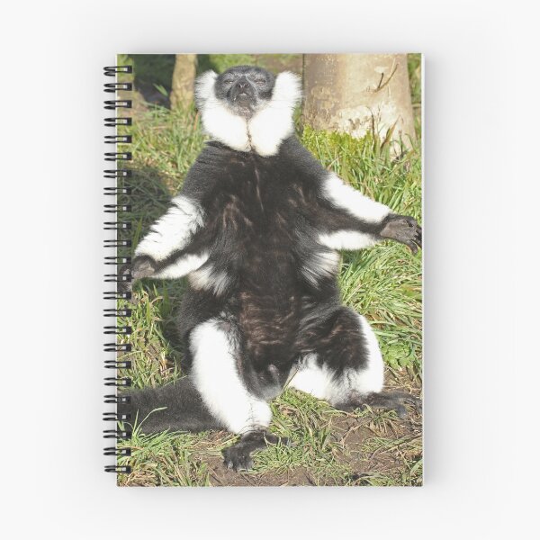 Item preview, Sunbathing Lemur designed and sold by aquabella.