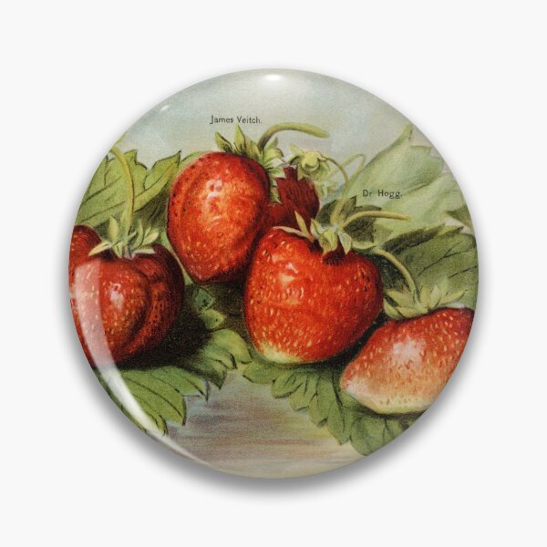 Item preview, Strawberries antique print  designed and sold by biodivher.