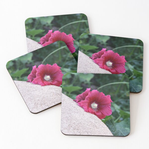 Item preview, Shyness designed and sold by coffeebean.