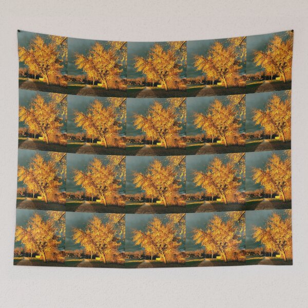Item preview, Lincoln Nebraska Fall  designed and sold by wildjellybeans.