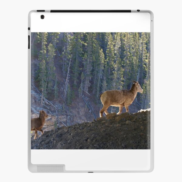 Mountain Goats iPad Skin