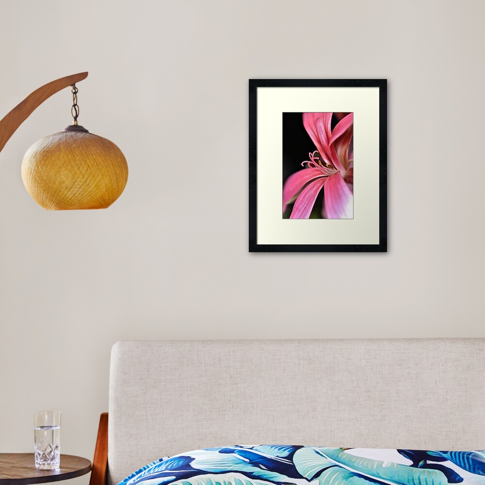 Unknown Flower Framed Art Print