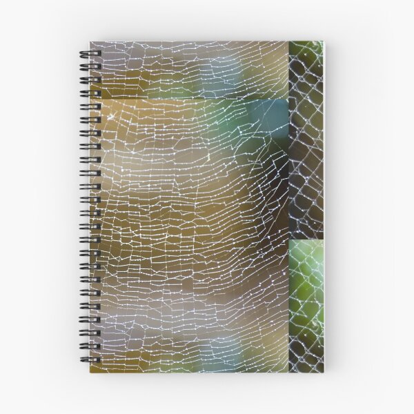 Item preview, Golden Silk Orb Weaver's Web Pattern 2 designed and sold by Kerryn Madsen-Pietsch.