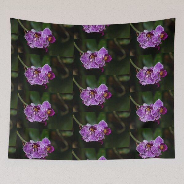 Item preview, Purple Striped Phalaenopsis designed and sold by mljdwhite.