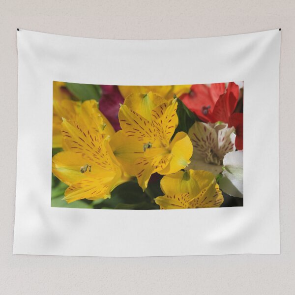 Item preview, Peruvian Lily Perfection designed and sold by RCNaturephotos.