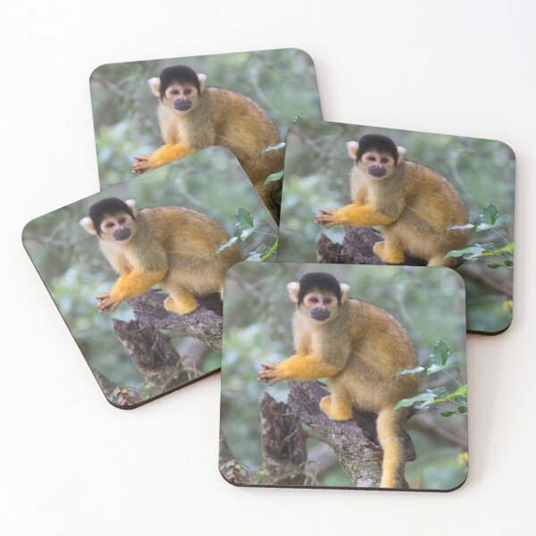 Item preview, Black-Capped Squirrel Monkey (Saimiri boliviensis) designed and sold by Yair Karelic.