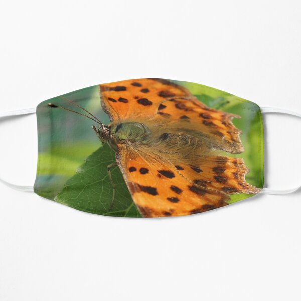 Comma Butterfly Mask