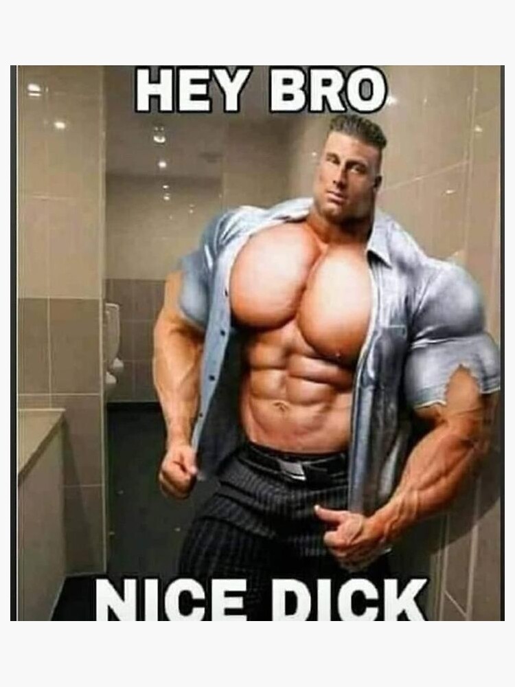 Hey Bro Nice D Ck Meme Sticker For Sale By Socynical Redbubble