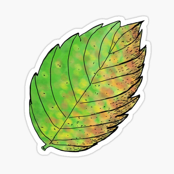 Autumn leaf Sticker