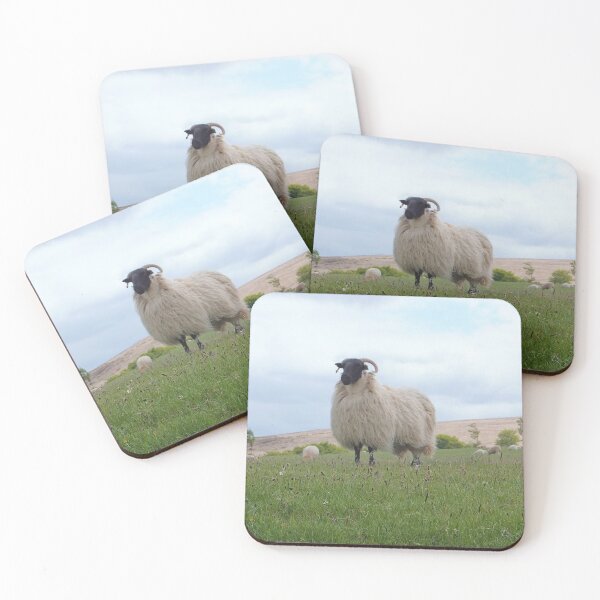 Item preview, Blackface Sheep designed and sold by pinkal.