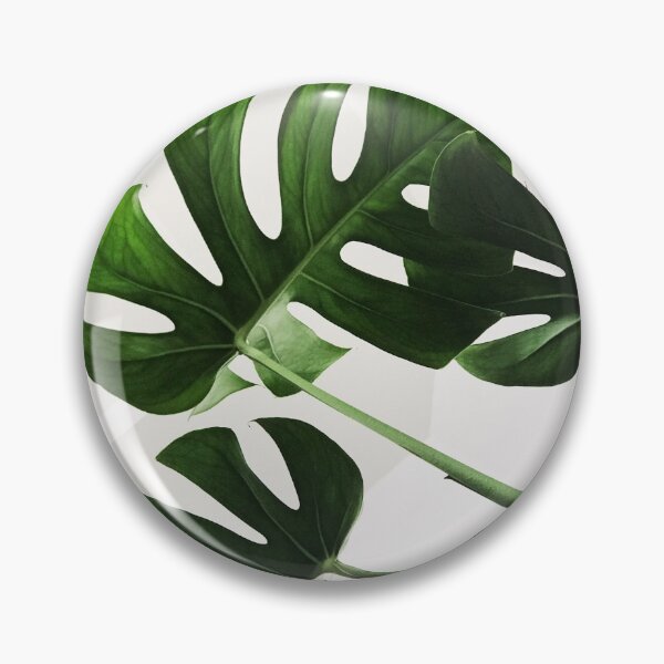 Item preview, philodendron monstera split leaf plant designed and sold by Anak-designs.