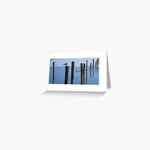 Into the Blue Greeting Card
