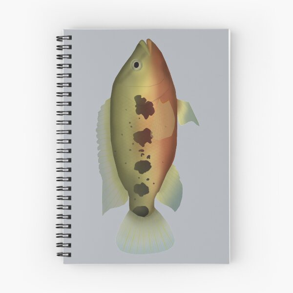 Item preview, Five-spot cichlid designed and sold by fishfolkart.
