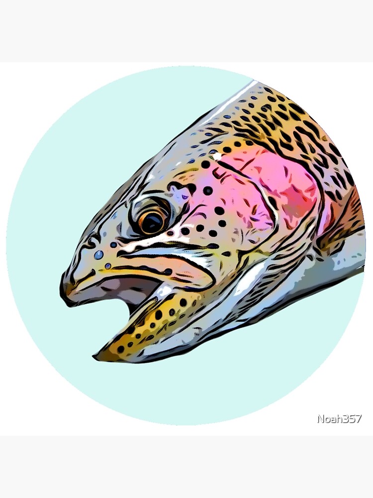 Rainbow Trout Fly Fishing print Art Board Print for Sale by