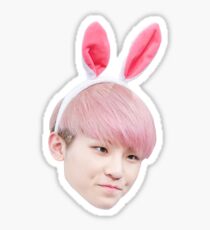 Woozi Häschen | Siebzehn Sticker