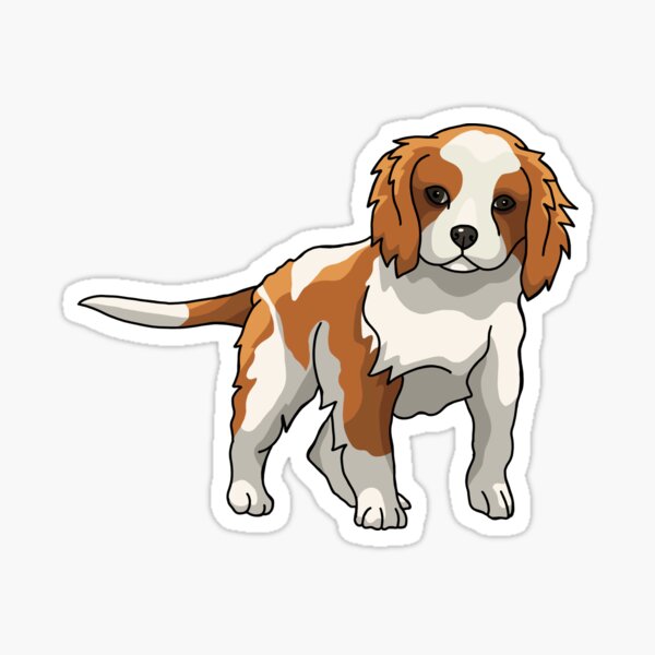 Cavalier King Charles Spaniel Illustration Sticker