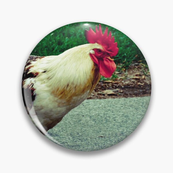 Item preview, Hen life designed and sold by Jean Beaudoin.