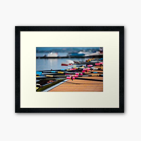 Rowing Framed Art Print