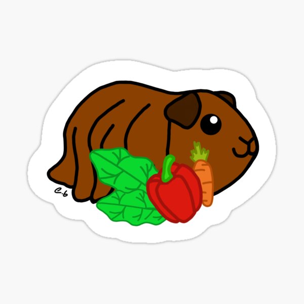 Guinea Pig with Long Brown Hair standing by Vegetables Sticker