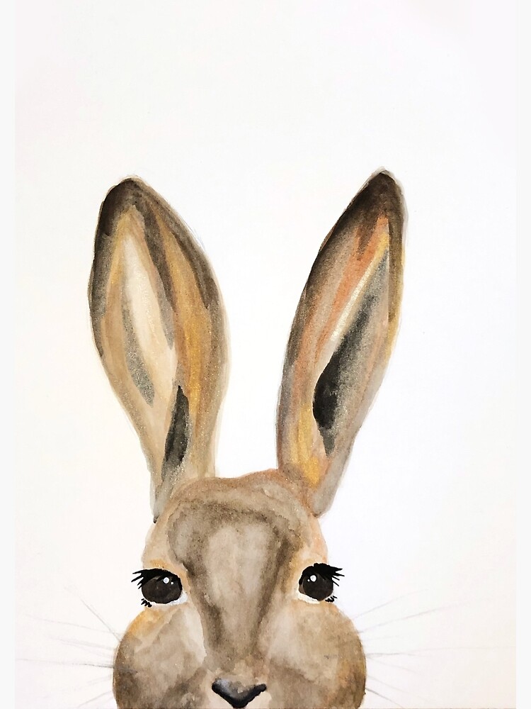 peek a boo peter rabbit